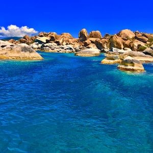 Meet your Posher, Carolina